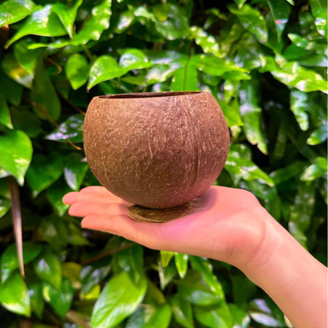 12 oz. Natural Coconut Cup